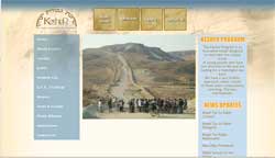 programming for non profit website